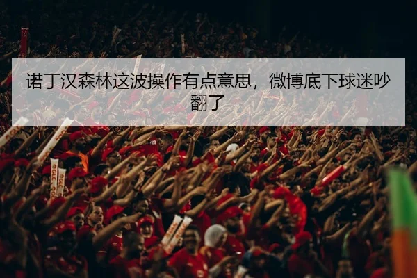 诺丁汉森林这波操作有点意思，微博底下球迷吵翻了