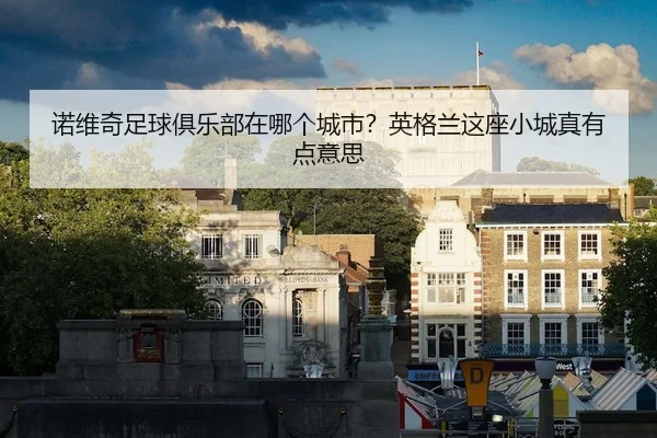 诺维奇足球俱乐部在哪个城市？英格兰这座小城真有点意思