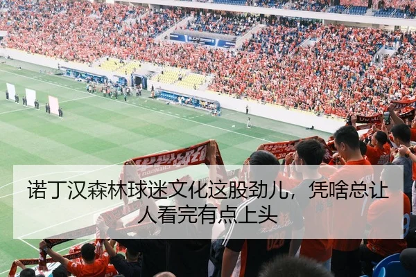 诺丁汉森林球迷文化这股劲儿，凭啥总让人看完有点上头