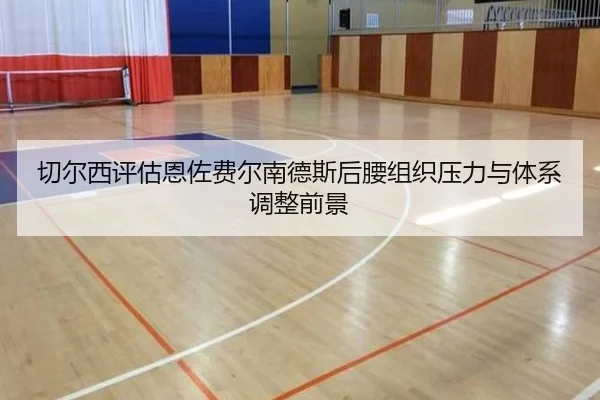 切尔西评估恩佐费尔南德斯后腰组织压力与体系调整前景