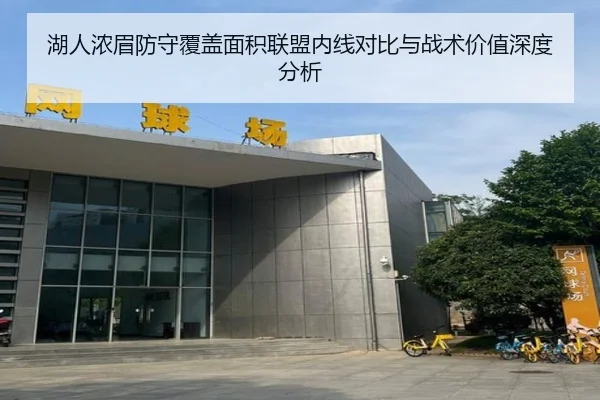 湖人浓眉防守覆盖面积联盟内线对比与战术价值深度分析